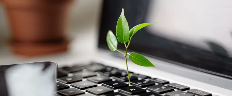 Transforming a smart business idea into a scalable web application